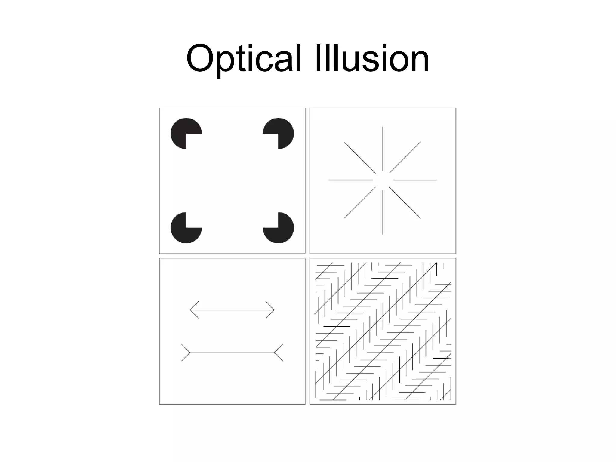 Optical Illusion
 