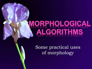 Some practical uses
of morphology
 