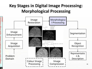 Key Stages in Digital Image Processing:
Morphological Processing
Image
Acquisition
Image
Restoration
Morphologica
l Processing
Segmentation
Representatio
n &
Description
Image
Enhancement
Object
Recognition
Problem
Domain
Colour Image
Processing
Image
Compression
Images
taken
from
Gonzalez
&
Woods,
Digital
Image
Processing
(2002)
34
 