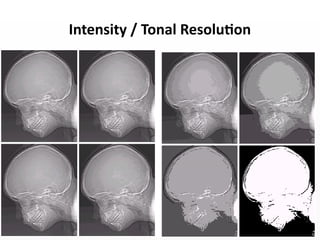 Intensity / Tonal Resolution
53
 