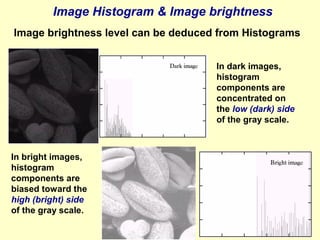 Image Histogram & Image brightness
Image brightness level can be deduced from Histograms
In dark images,
histogram
components are
concentrated on
the low (dark) side
of the gray scale.

In bright images,
histogram
components are
biased toward the
high (bright) side
of the gray scale.

 
