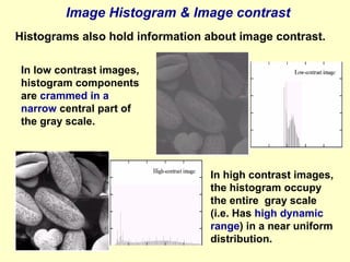Image Histogram & Image contrast
Histograms also hold information about image contrast.
In low contrast images,
histogram components
are crammed in a
narrow central part of
the gray scale.

In high contrast images,
the histogram occupy
the entire gray scale
(i.e. Has high dynamic
range) in a near uniform
distribution.

 