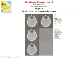 Comprehensive Overview of Wavelets and Multiresolution Processing in ...