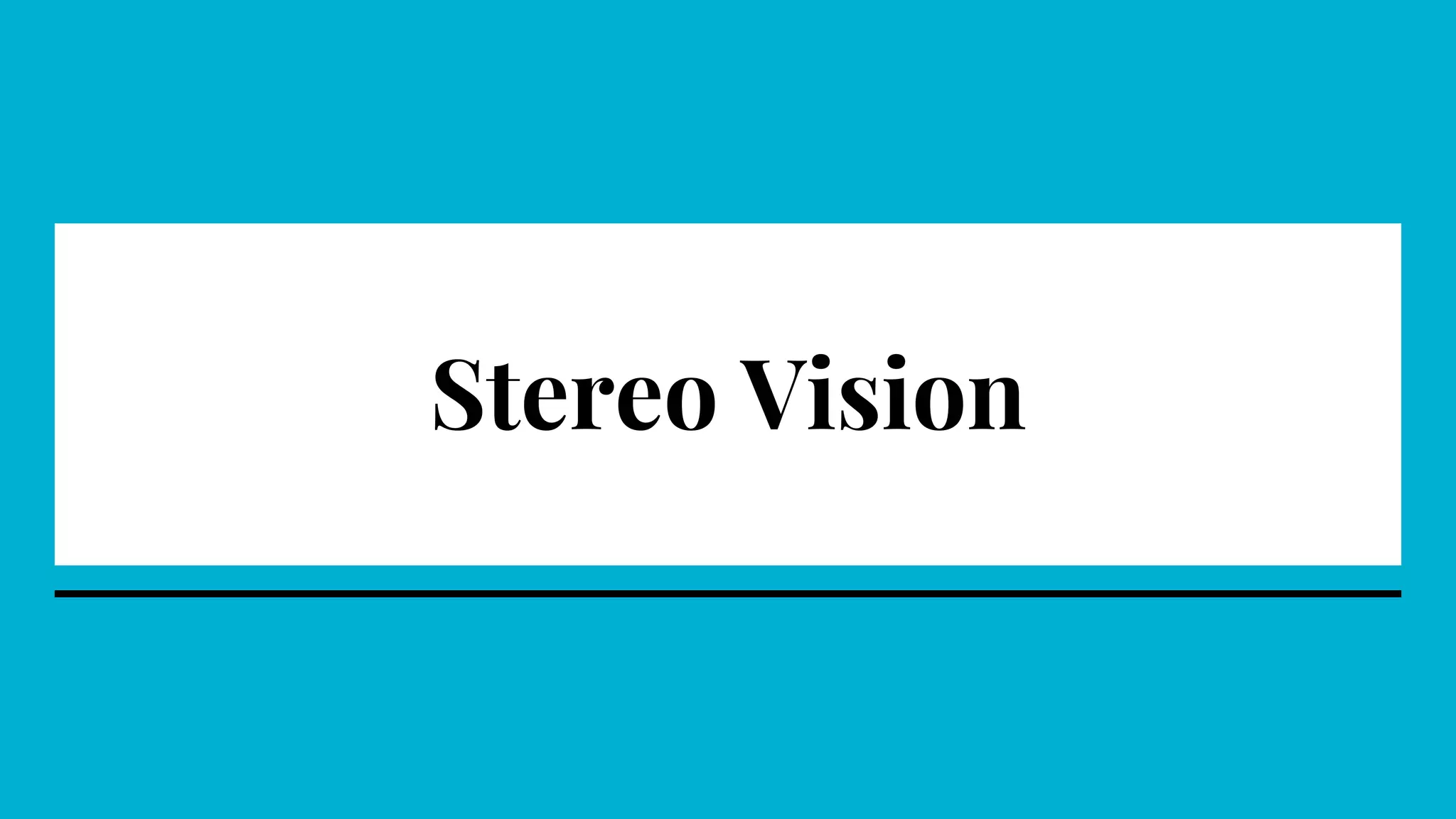 Stereo Vision
 