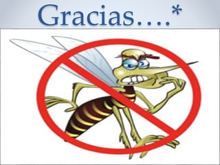 Gracias….*
 