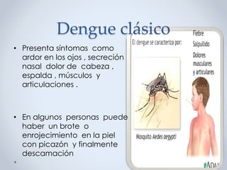 Dengue clásico
• Presenta síntomas como
ardor en los ojos , secreción
nasal dolor de cabeza ,
espalda , músculos y
articulaciones .
• En algunos personas puede
haber un brote o
enrojecimiento en la piel
con picazón y finalmente
descamación
 
