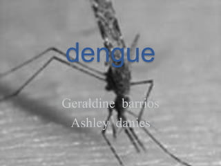 dengue
Geraldine barrios
Ashley danies
 