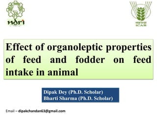Effect of organoleptic properties
of feed and fodder on feed
intake in animal
Dipak Dey (Ph.D. Scholar)
Bharti Sharma (Ph.D. Scholar)
Email – dipakchandan63@gmail.com
 
