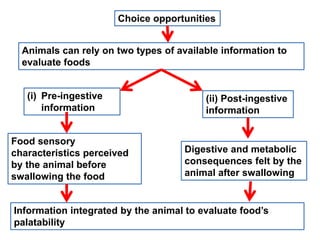 Effect of organoleptic properties of feed and fodder on feed intake in ...