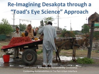 Re-Imagining Desakota through a “Toad’s Eye Science” Appr oach Dipak Gyawali STEPS Center  Pathways to Sustainability  Conference Contesting Sustainabilities in the Peri-Urban Interface  
