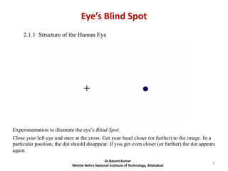 Eye’s Blind Spot
Dr.Basant Kumar
Motilal Nehru National Institute of Technology, Allahabad
3
 