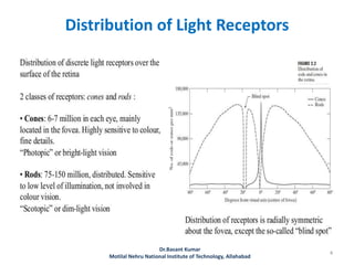Distribution of Light Receptors
Dr.Basant Kumar
Motilal Nehru National Institute of Technology, Allahabad
4
 