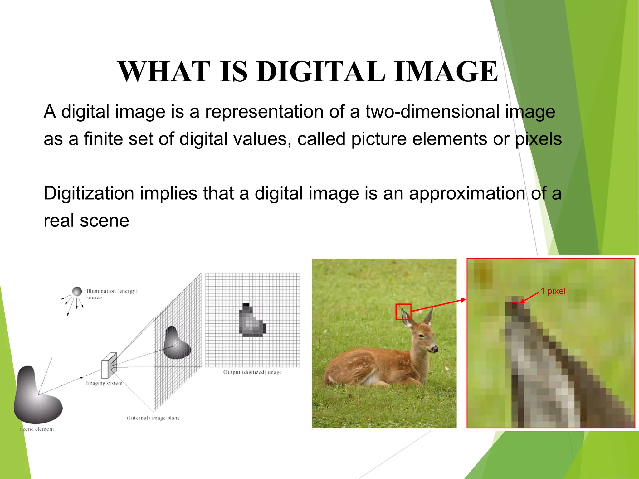 A digital image is a representation of a two-dimensional image
as a finite set of digital values, called picture elements or pixels
Digitization implies that a digital image is an approximation of a
real scene
WHAT IS DIGITAL IMAGE
1 pixel
 