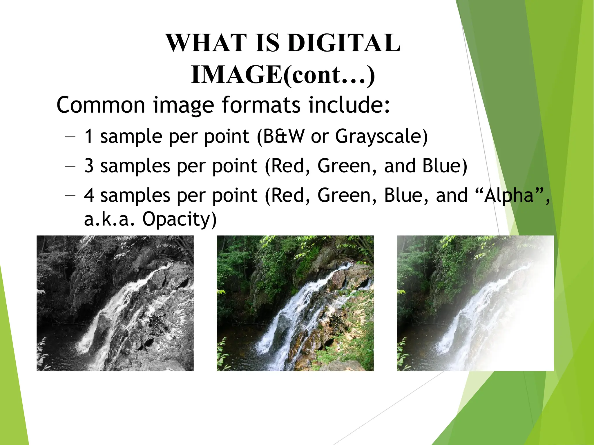 WHAT IS DIGITAL
IMAGE(cont…)
Common image formats include:
– 1 sample per point (B&W or Grayscale)
– 3 samples per point (Red, Green, and Blue)
– 4 samples per point (Red, Green, Blue, and “Alpha”,
a.k.a. Opacity)
 