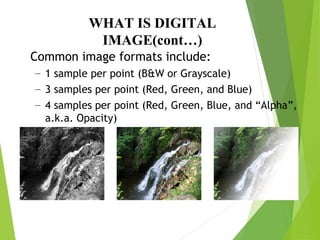 WHAT IS DIGITAL
IMAGE(cont…)
Common image formats include:
– 1 sample per point (B&W or Grayscale)
– 3 samples per point (Red, Green, and Blue)
– 4 samples per point (Red, Green, Blue, and “Alpha”,
a.k.a. Opacity)
 