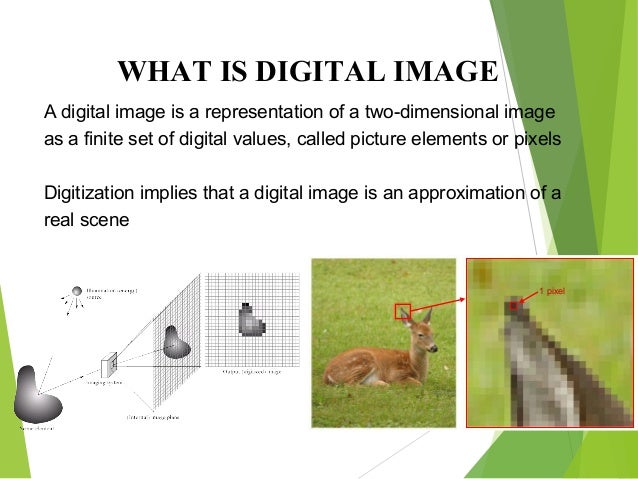Digital Image Processing (DIP)
