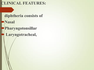 CLINICAL FEATURES:
diphtheria consists of
Nasal
Pharyngotonsillar
 Laryngotracheal,
 