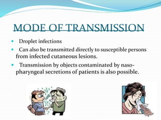 MODE OF TRANSMISSION
 Droplet infections
 Can also be transmitted directly to susceptible persons
from infected cutaneous lesions.
 Transmission by objects contaminated by naso-
pharyngeal secretions of patients is also possible.
 