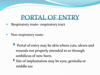 PORTAL OF ENTRY
 Respiratory route- respiratory tract
 Non-respiratory route-
Portal of entry may be skin where cuts, ulcers and
wounds not properly attended to or through
umbilicus of new born.
Site of implantation may be eyes, genitalia or
middle ear.
 