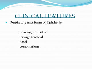 CLINICAL FEATURES
 Respiratory tract forms of diphtheria-
pharyngo-tonsillar
laryngo tracheal
nasal
combinations
 