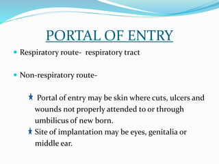 PORTAL OF ENTRY
 Respiratory route- respiratory tract
 Non-respiratory route-
Portal of entry may be skin where cuts, ulcers and
wounds not properly attended to or through
umbilicus of new born.
Site of implantation may be eyes, genitalia or
middle ear.
 