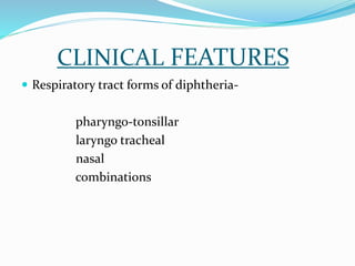 CLINICAL FEATURES
 Respiratory tract forms of diphtheria-
pharyngo-tonsillar
laryngo tracheal
nasal
combinations
 