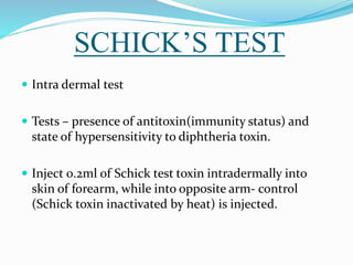 SCHICK’S TEST
 Intra dermal test
 Tests – presence of antitoxin(immunity status) and
state of hypersensitivity to diphtheria toxin.
 Inject 0.2ml of Schick test toxin intradermally into
skin of forearm, while into opposite arm- control
(Schick toxin inactivated by heat) is injected.
 