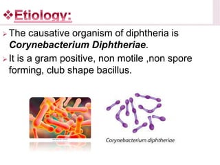 diphtheria-200216153615.pdf