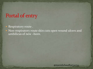  Respiratory route .
 Non-respiratory route skin cuts open wound ulcers and
umbilicus of new –born.
@manishchaudhary4054
 
