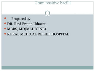 Gram positive bacilli
 Prapared by
DR. Ravi Pratap Udawat
MBBS, MD(MEDICINE)
RURAL MEDICAL RELIEF HOSPITAL
 