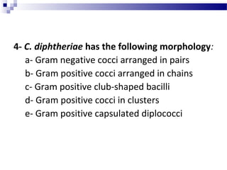 4- C. diphtheriae has the following morphology:
a- Gram negative cocci arranged in pairs
b- Gram positive cocci arranged in chains
c- Gram positive club-shaped bacilli
d- Gram positive cocci in clusters
e- Gram positive capsulated diplococci
 