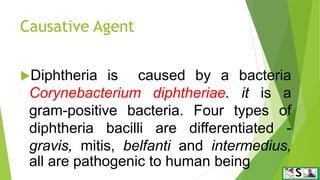 Diphtheria in english