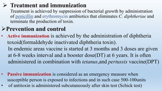  Treatment and immunization
Treatment is achieved by suppression of bacterial growth by administration
of penicillin and erythromycin antibiotics that eliminates C. diphtheriae and
terminate the production of toxin.
Prevention and control
• Active immunization is achieved by the administration of diphtheria
toxoid(formaldehyde inactivated diphtheria toxin).
In endemic areas vaccine is started at 3 months and 3 doses are given
at 6-8 weeks interval and a booster dose(DT) at 6 years. It is often
administered in combination with tetanus,and pertussis vaccine(DPT)
• Passive immunization is considered as an emergency measure when
susceptible person is exposed to infections and in such case 500-100units
• of antitoxin is administered subcutaneously after skin test (Schick test)
 
