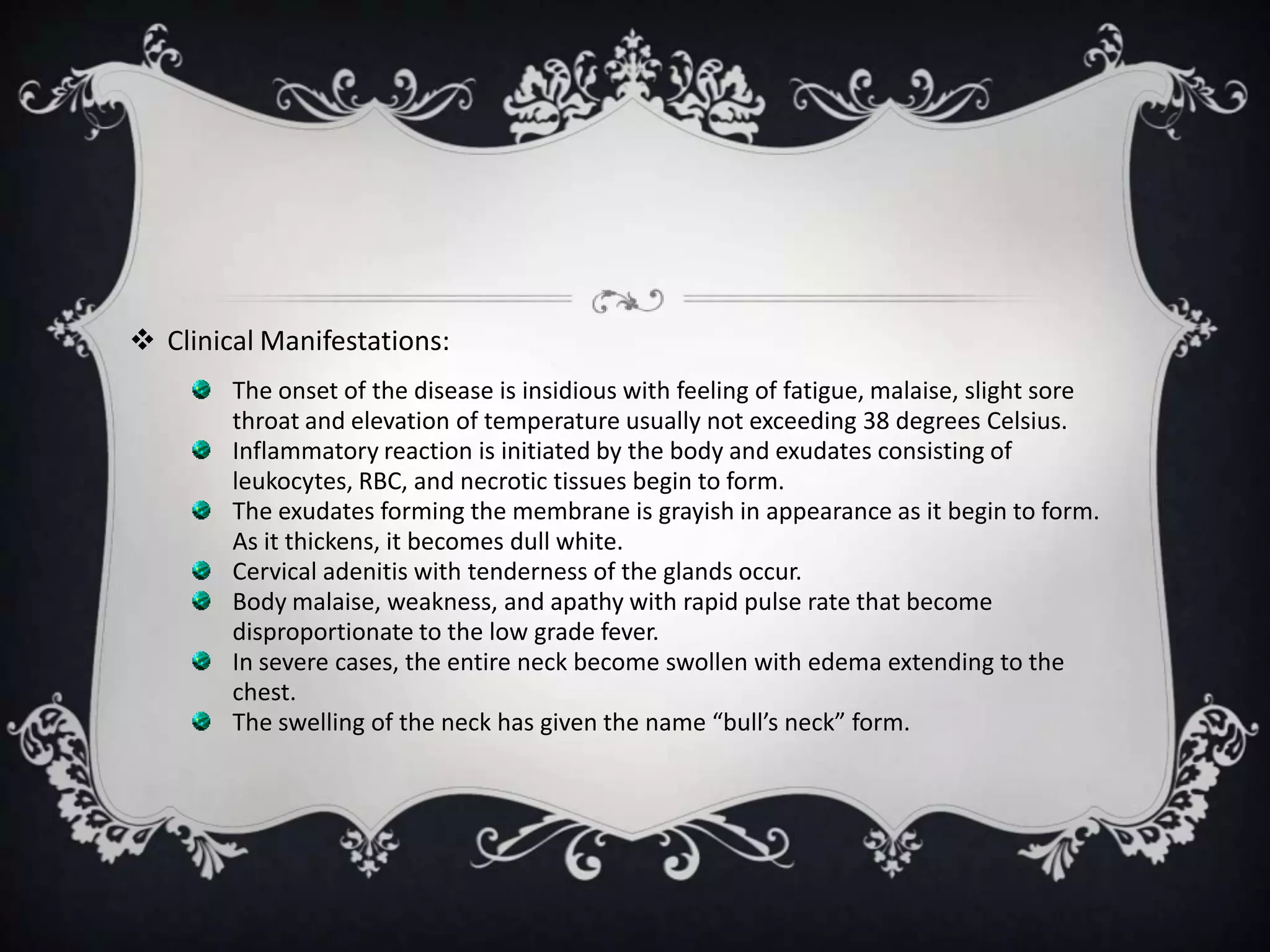  Clinical Manifestations:
The onset of the disease is insidious with feeling of fatigue, malaise, slight sore
throat and elevation of temperature usually not exceeding 38 degrees Celsius.
Inflammatory reaction is initiated by the body and exudates consisting of
leukocytes, RBC, and necrotic tissues begin to form.
The exudates forming the membrane is grayish in appearance as it begin to form.
As it thickens, it becomes dull white.
Cervical adenitis with tenderness of the glands occur.
Body malaise, weakness, and apathy with rapid pulse rate that become
disproportionate to the low grade fever.
In severe cases, the entire neck become swollen with edema extending to the
chest.
The swelling of the neck has given the name “bull’s neck” form.
 