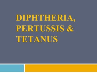 DIPHTHERIA,
PERTUSSIS &
TETANUS
 