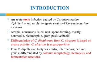 INTRODUCTION
 An acute toxic infection caused by Corynebacterium
diphtheriae and rarely toxigenic strains of Corynebacterium
ulcerans
 aerobic, nonencapsulated, non–spore-forming, mostly
nonmotile, pleomorphic, gram-positive bacilli
 Differentiation of C. diphtheriae from C. ulcerans is based on
urease activity, C. ulcerans is urease-positive
 Four C. diphtheriae biotypes - mitis, intermedius, belfanti,
gravis; differentiated by colonial morphology, hemolysis, and
fermentation reactions
 