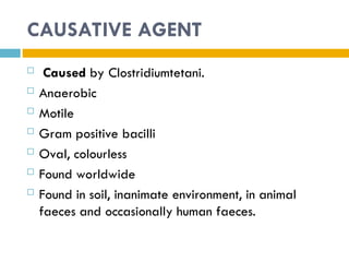 CAUSATIVE AGENT
 Caused by Clostridiumtetani.
 Anaerobic
 Motile
 Gram positive bacilli
 Oval, colourless
 Found worldwide
 Found in soil, inanimate environment, in animal
faeces and occasionally human faeces.
 