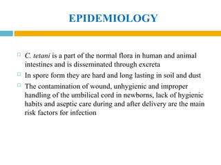 EPIDEMIOLOGY
 C. tetani is a part of the normal flora in human and animal
intestines and is disseminated through excreta
 In spore form they are hard and long lasting in soil and dust
 The contamination of wound, unhygienic and improper
handling of the umbilical cord in newborns, lack of hygienic
habits and aseptic care during and after delivery are the main
risk factors for infection
 