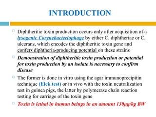 INTRODUCTION
 Diphtheritic toxin production occurs only after acquisition of a
lysogenic Corynebacteriophage by either C. diphtheriae or C.
ulcerans, which encodes the diphtheritic toxin gene and
confers diphtheria-producing potential on these strains
 Demonstration of diphtheritic toxin production or potential
for toxin production by an isolate is necessary to confirm
disease
 The former is done in vitro using the agar immunoprecipitin
technique (Elek test) or in vivo with the toxin neutralization
test in guinea pigs, the latter by polymerase chain reaction
testing for carriage of the toxin gene
 Toxin is lethal in human beings in an amount 130μg/kg BW
 