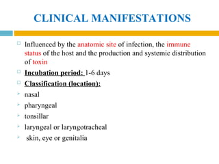 CLINICAL MANIFESTATIONS
 Influenced by the anatomic site of infection, the immune
status of the host and the production and systemic distribution
of toxin
 Incubation period: 1-6 days
 Classification (location):
 nasal
 pharyngeal
 tonsillar
 laryngeal or laryngotracheal
 skin, eye or genitalia
 
