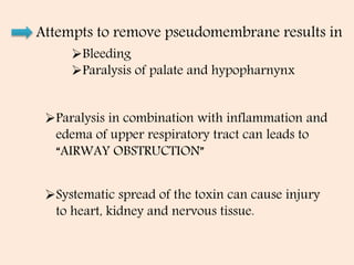 Diphtheria ppt | PPT
