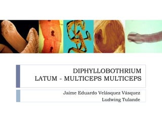 DIPHYLLOBOTHRIUM
LATUM - MULTICEPS MULTICEPS
Jaime Eduardo Velásquez Vásquez
Ludwing Tulande
 