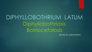 DIPHYLLOBOTHRIUM LATUM 
Diphyllobothriosis 
Botriocefalosis 
Rosario B. Juárez Ibarra 
 