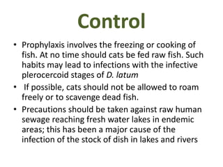 Control
• Prophylaxis involves the freezing or cooking of
fish. At no time should cats be fed raw fish. Such
habits may lead to infections with the infective
plerocercoid stages of D. latum
• If possible, cats should not be allowed to roam
freely or to scavenge dead fish.
• Precautions should be taken against raw human
sewage reaching fresh water lakes in endemic
areas; this has been a major cause of the
infection of the stock of dish in lakes and rivers
 