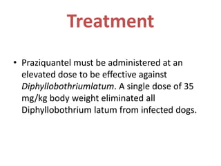 Treatment
• Praziquantel must be administered at an
elevated dose to be effective against
Diphyllobothriumlatum. A single dose of 35
mg/kg body weight eliminated all
Diphyllobothrium latum from infected dogs.
 
