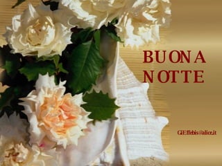 [email_address] BUONA NOTTE 