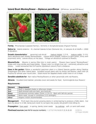 Island Bush Monkeyflower – Diplacus parviflorus

(DIP-luh-cus par-vee-FOE=lee-us )

Family: Phrymaceae (Lopseed Family) ; formerly in Scrophulariaceae (Figwort Family)
Native to: Island endemic - N. channel Islands & San Clemente Isl.; in canyons & on bluffs < 2000
ft elevation.

perennial sub-shrub
mature height: 2-3 ft.
mature width: 2-3 ft.
Semi-deciduous part-woody Monkeyflower. Leaves lance-shaped, medium to dark green, shiny with
prominent veins. Leaves sticky on hot days. Foliage an attractive contrast to flowers.

Growth characteristics:

Blooms in spring (Mar-July in most years). Flowers have typical ‘Monkeyflower’
shape with long corolla and fused petals. Flower color is a bright true red – extremely attractive and
showy. Looks somewhat like CA Fuschia (Epilobium canum) from a distance.

Blooms/fruits:

Uses in the garden: Makes a wonderful specimen plant in a Island Species garden along Catalina
Snapdragon and other Island plant. Excellent accent plant with its showy red blooms; plant with CA
Fuschia for almost year-round color. Good choice for dappled shade under trees or on a slope.

Sensible substitute for: Non-native Monkeyflowers or other perennials with red flowers.
Attracts: Excellent bird habitat: provides cover and seeds for food. Hummingbirds love flowers!
Requirements:
Element
Sun
Soil
Water
Fertilizer
Other

Requirement

Best in dappled shade or afternoon shade.
Well-drained soils are best; any local pH.
Occasional summer water (Zone 1-2 to 2). Best with fall dry period.
None need, except in containers (1/2 strength).
Organic mulch recommended.

Pinch back (tip prune) growing stems in winter/spring to produce a fuller plant. Cut
back by about ½ in fall, being sure never to cut back into woody old growth (risk killing it).

Management:

Propagation: from seed: in spring; barely cover seeds

by cuttings: soft- or semi-soft wood

Plant/seed sources (see list for source numbers): 1, 3, 7, 8, 11-14, 16, 20, 21, 23, 24, 26, 28

2/29/11
© Project SOUND

 