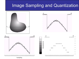 DIP_Lec 3-4_ Sampling and Quantization.pdf