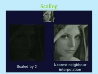 Scaling
 