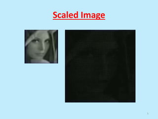 Scaled Image
5
 